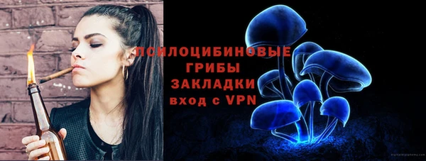 трава Пересвет