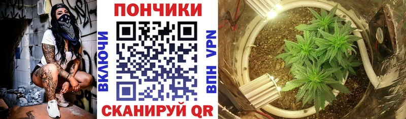 kraken онион Мариинск Бошки Шишки план